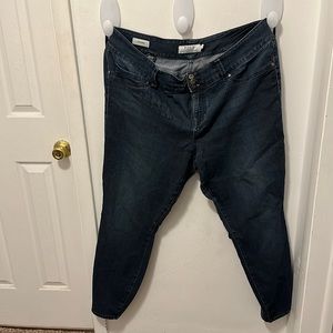 Torrid / Denim Jegging / size 24XT